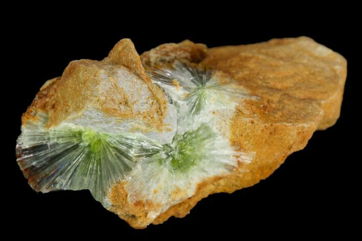 Radiating, Green Wavellite Crystal Aggregation - Arkansas #127124